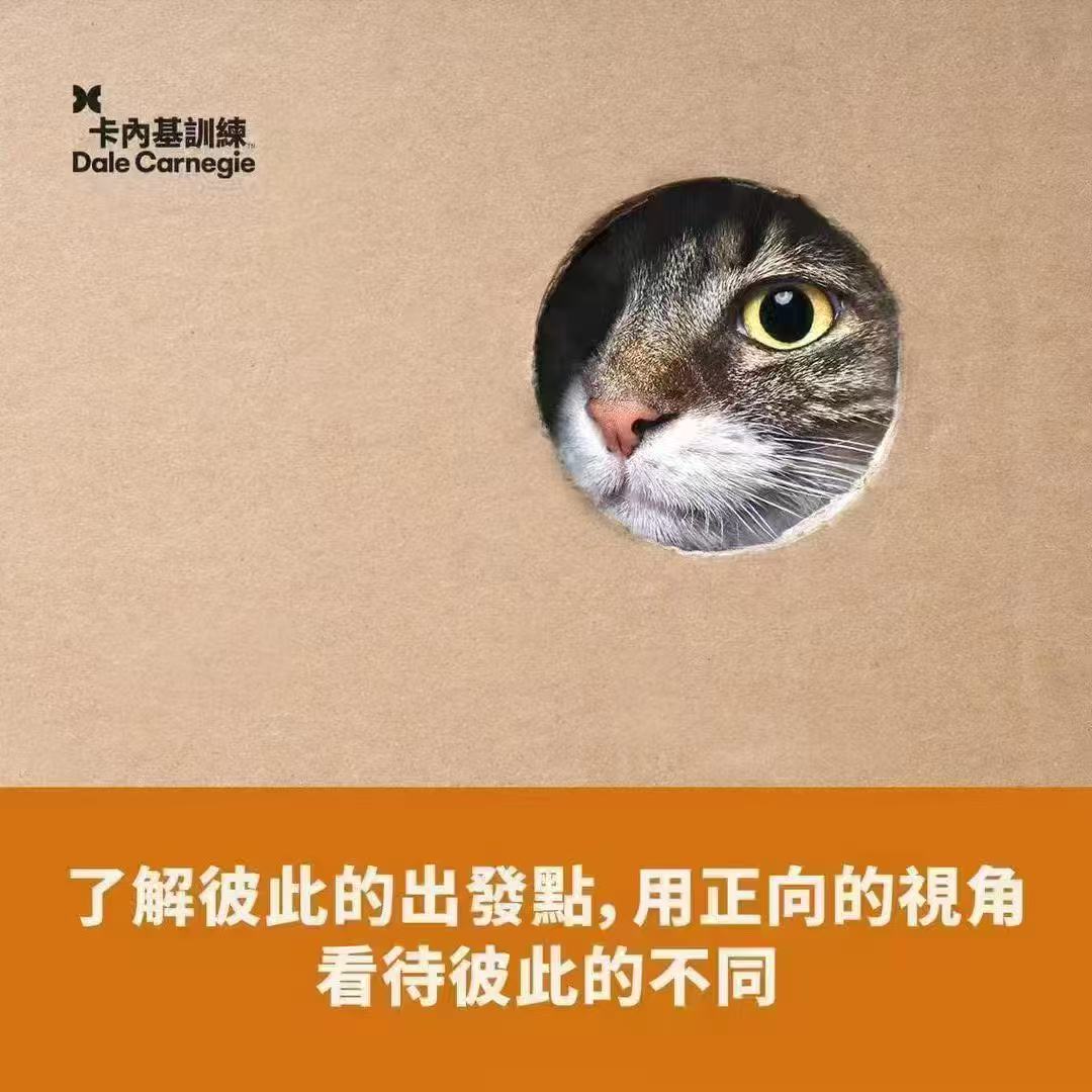 bb93f8e186a30754a4d12789b7d6c65e.jpeg