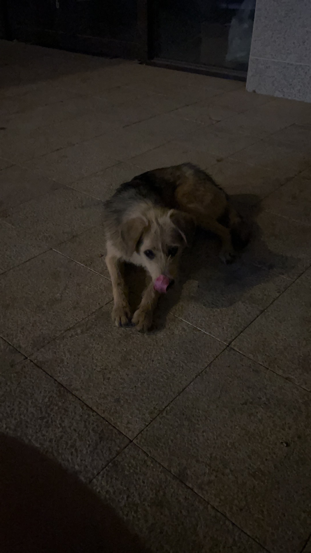 0302c59c424a48b23d51a086431b90a0.jpeg