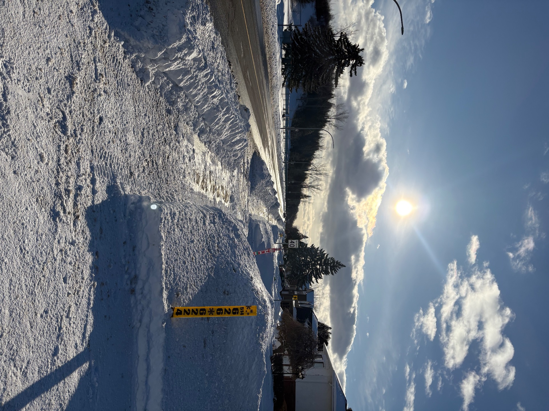 IMG_1856.jpeg