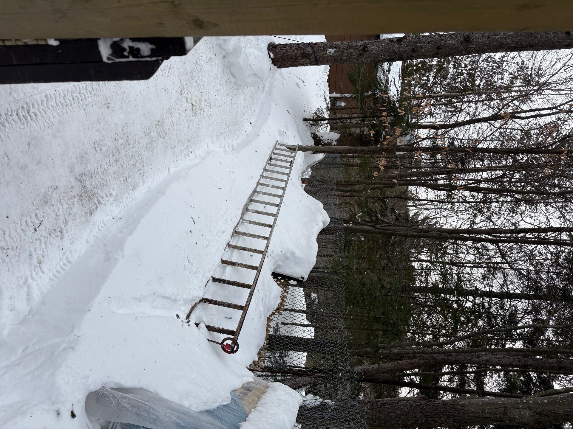 IMG_1953.jpeg