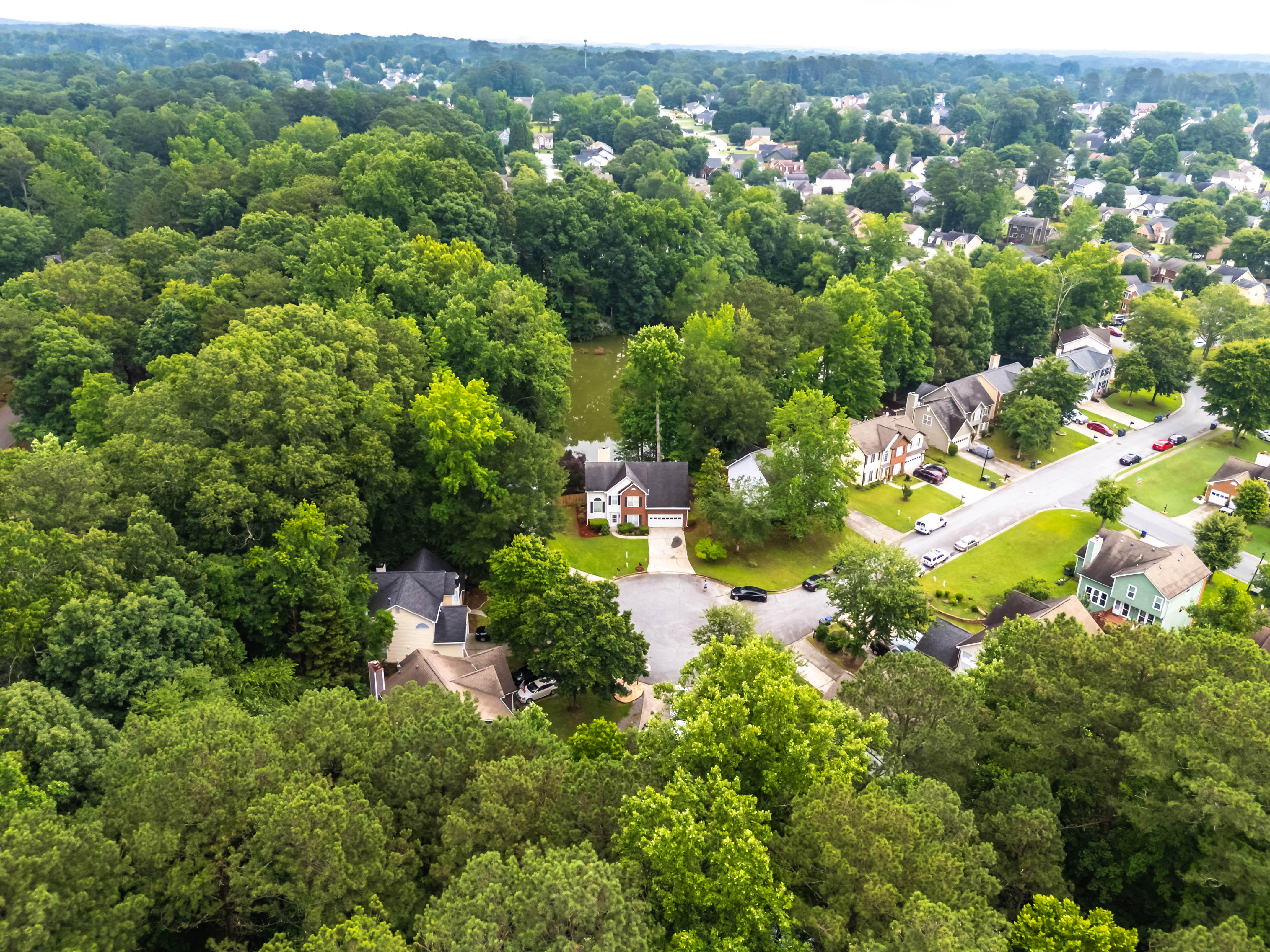 DJI_20250612091902_0051_D-HDR.JPG