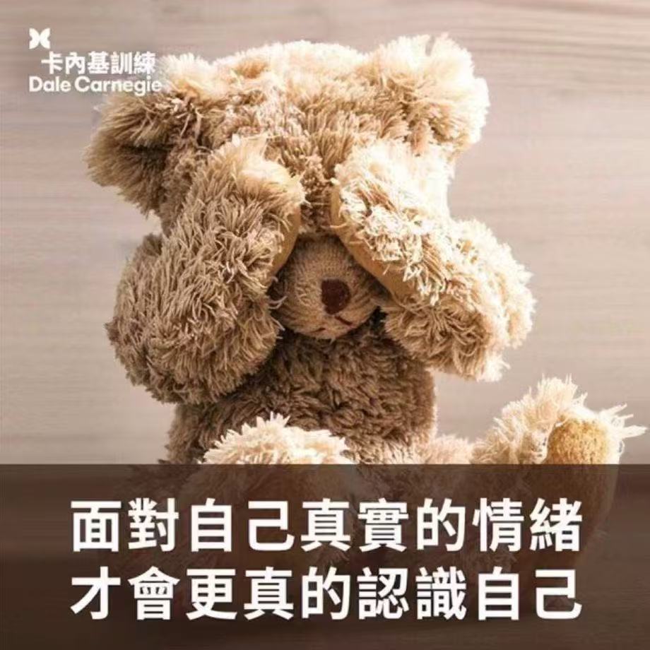 916c05adf780ed53f93f6cd1e2e385d6.jpeg