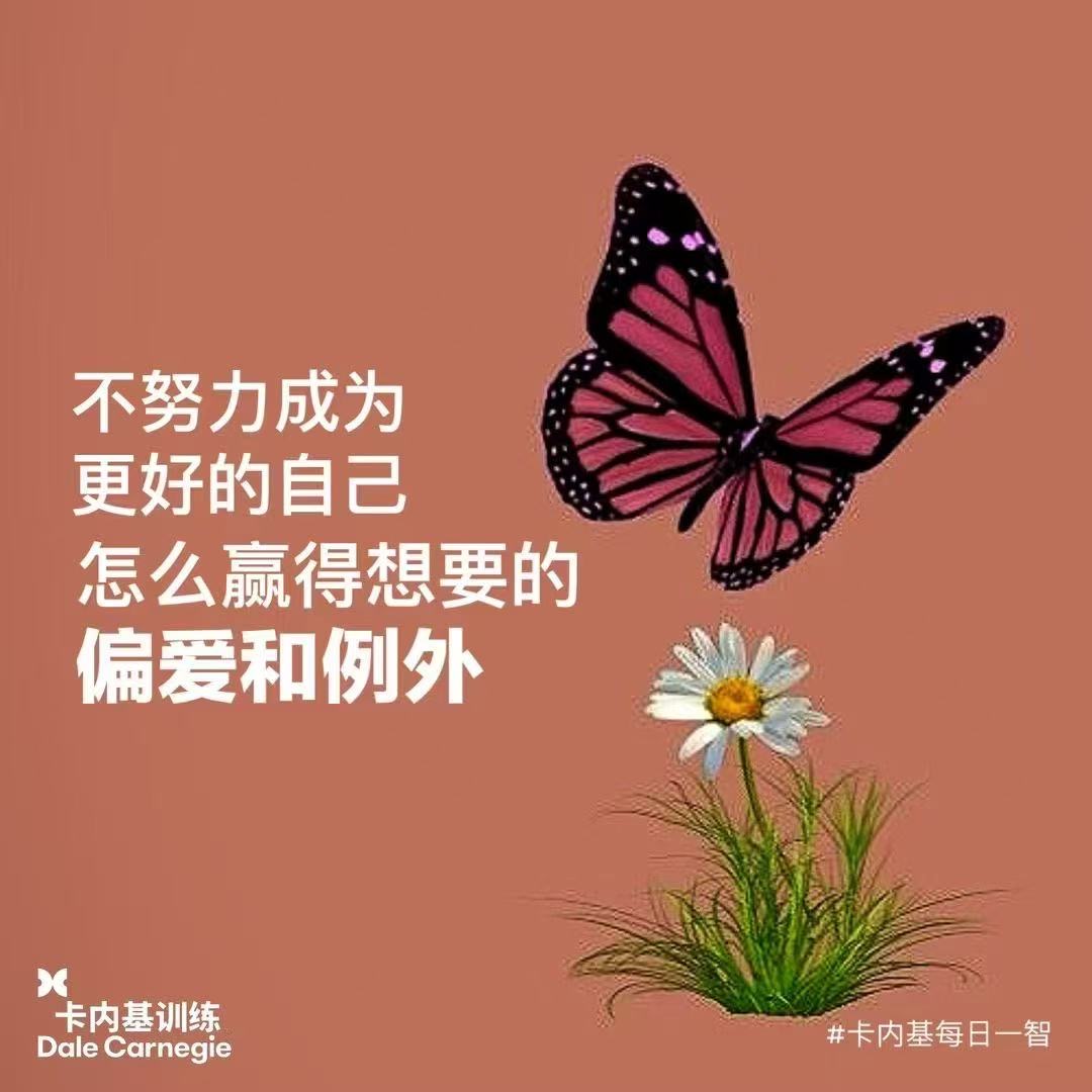 8a01d41b8007da010a9fe48b92196551.jpeg