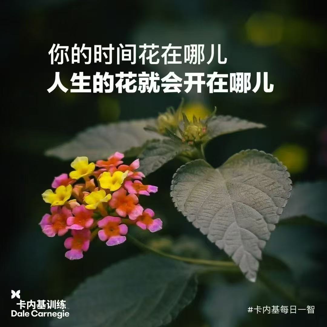 d9b2c58dc65949c38add0a9ec3db978f.jpeg