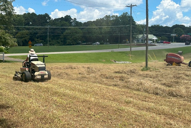 Bales_04.jpg