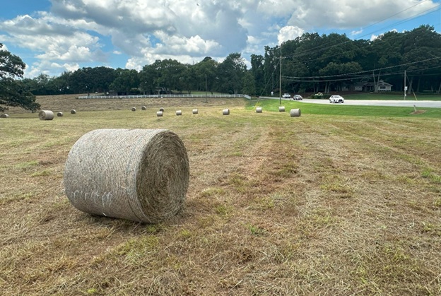 Bales_05.jpg