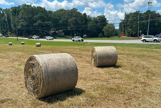 Bales_02.jpg