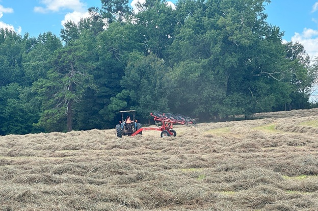Bales_11.jpg