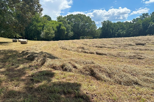 Bales_09.jpg