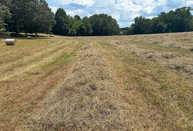 Bales_08.jpg