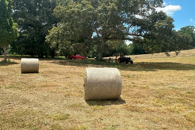Bales_07.jpg