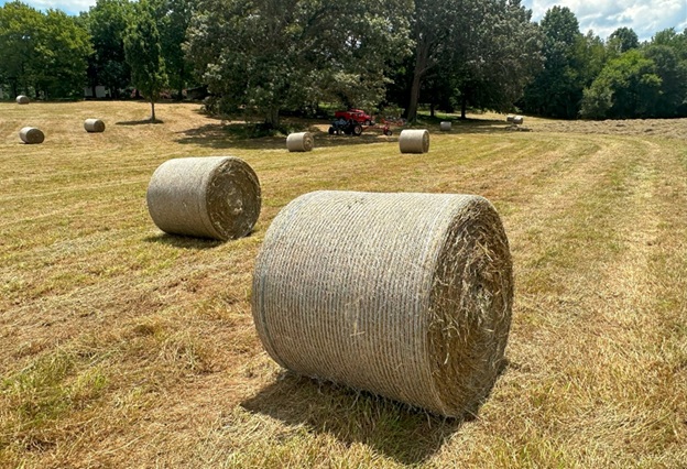 Bales_06.jpg