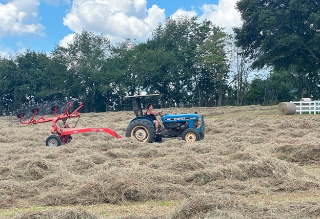 Bales_12.jpg