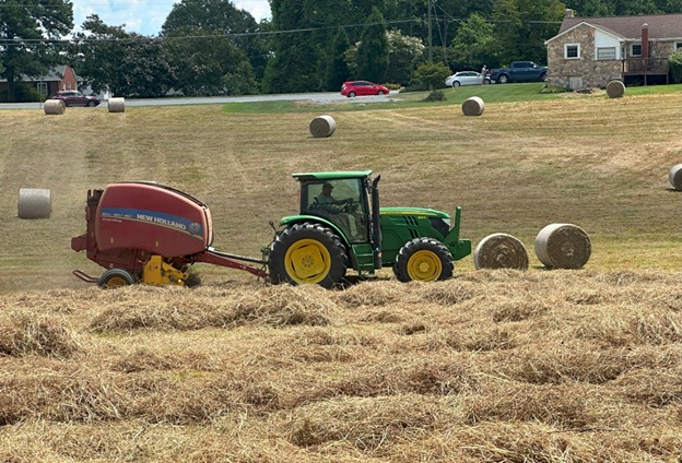 Bales_19.jpg