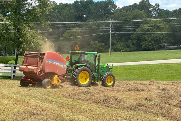 Bales_17.jpg