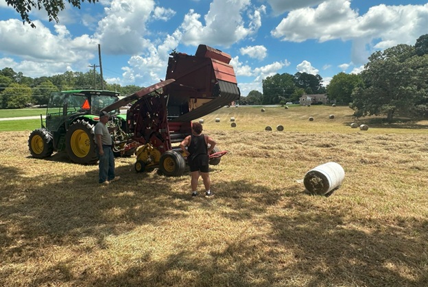 Bales_21.jpg