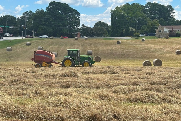 Bales_18.jpg