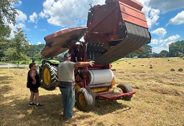 Bales_22.jpg