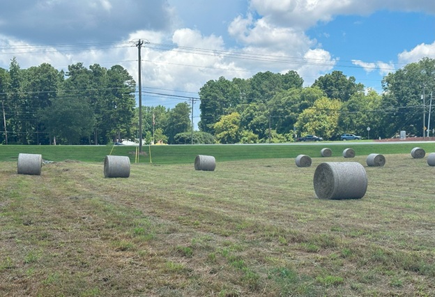 Bales_24.jpg