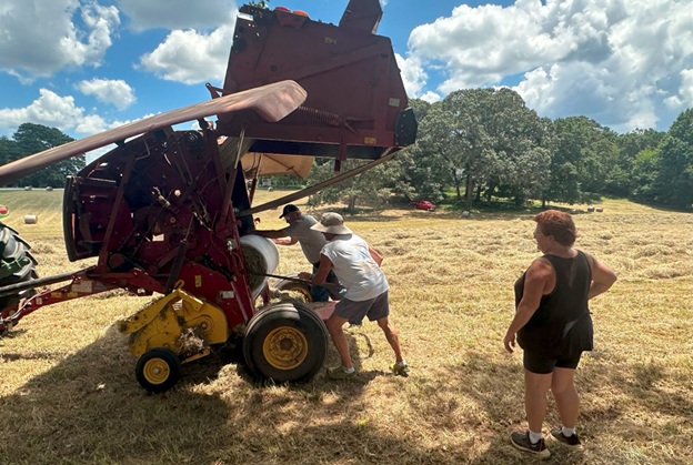 Bales_23.jpg