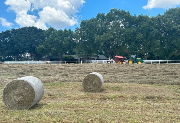 Bales_26.jpg