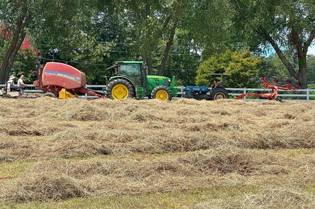 Bales_27.jpg