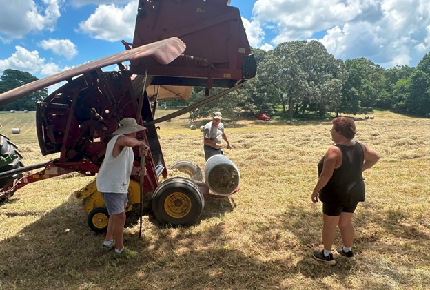Bales_24.jpg