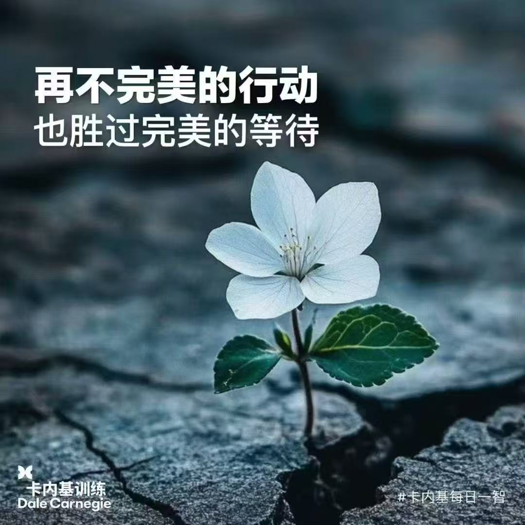 1bc27a4573ea34aa96d7ba7bf9b6946b.jpeg