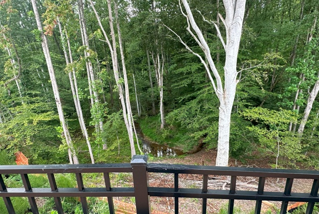 LaurelView_24.jpg